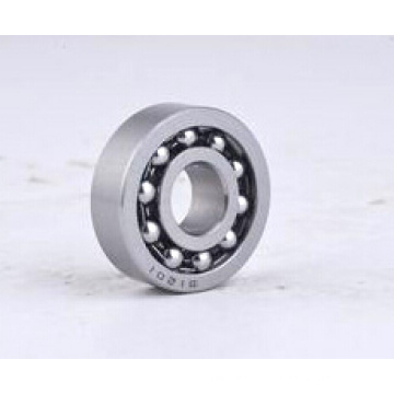 Stainless Steel Self-Aligning Ball Bearing (SS1200-SS1210)